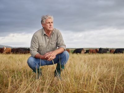 farm business owner surveys his crop
